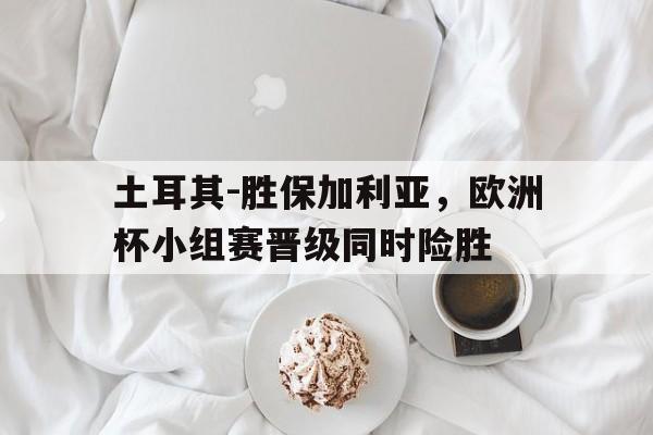 STAR SPORTS下载-土耳其-胜保加利亚，欧洲杯小组赛晋级同时险胜